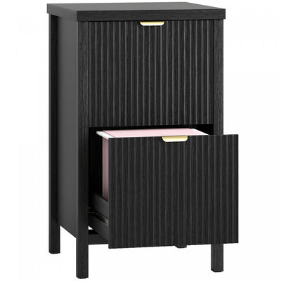 HOMCOM 2 Drawer File Cabinet, Filing Cabinet Fits Letter/A4 Size, Black