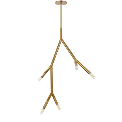 Dainolite Morgan 5 Light Pendant Aged Brass Finish Lamp|Luminaire suspendu Morgan de Dainolite avec fini laiton vieilli et 5 ampoules