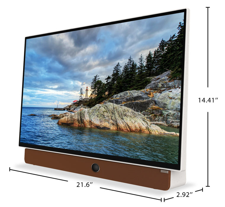 Écran à DEL Companion PortableMC de Skyworth Full HD 1080p avec Google TVMC (24P100) 