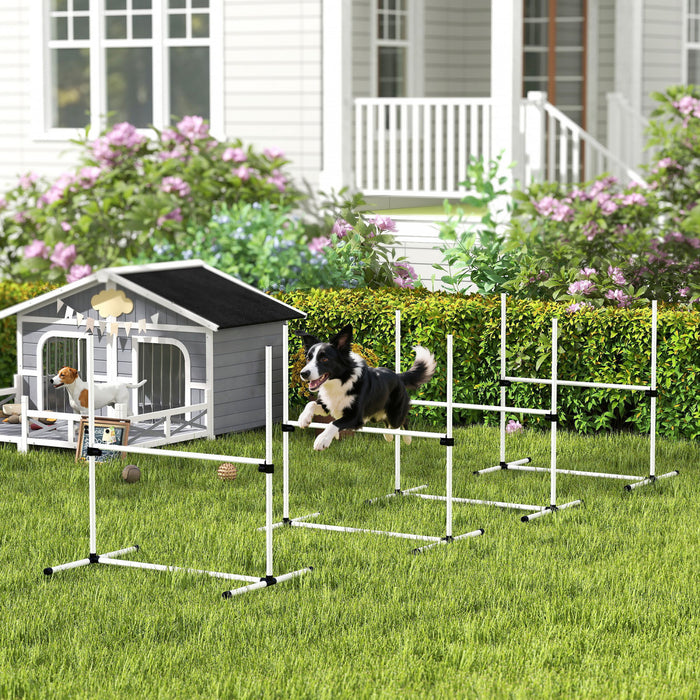 Ensemble d'entrainement d'agilite pour chien