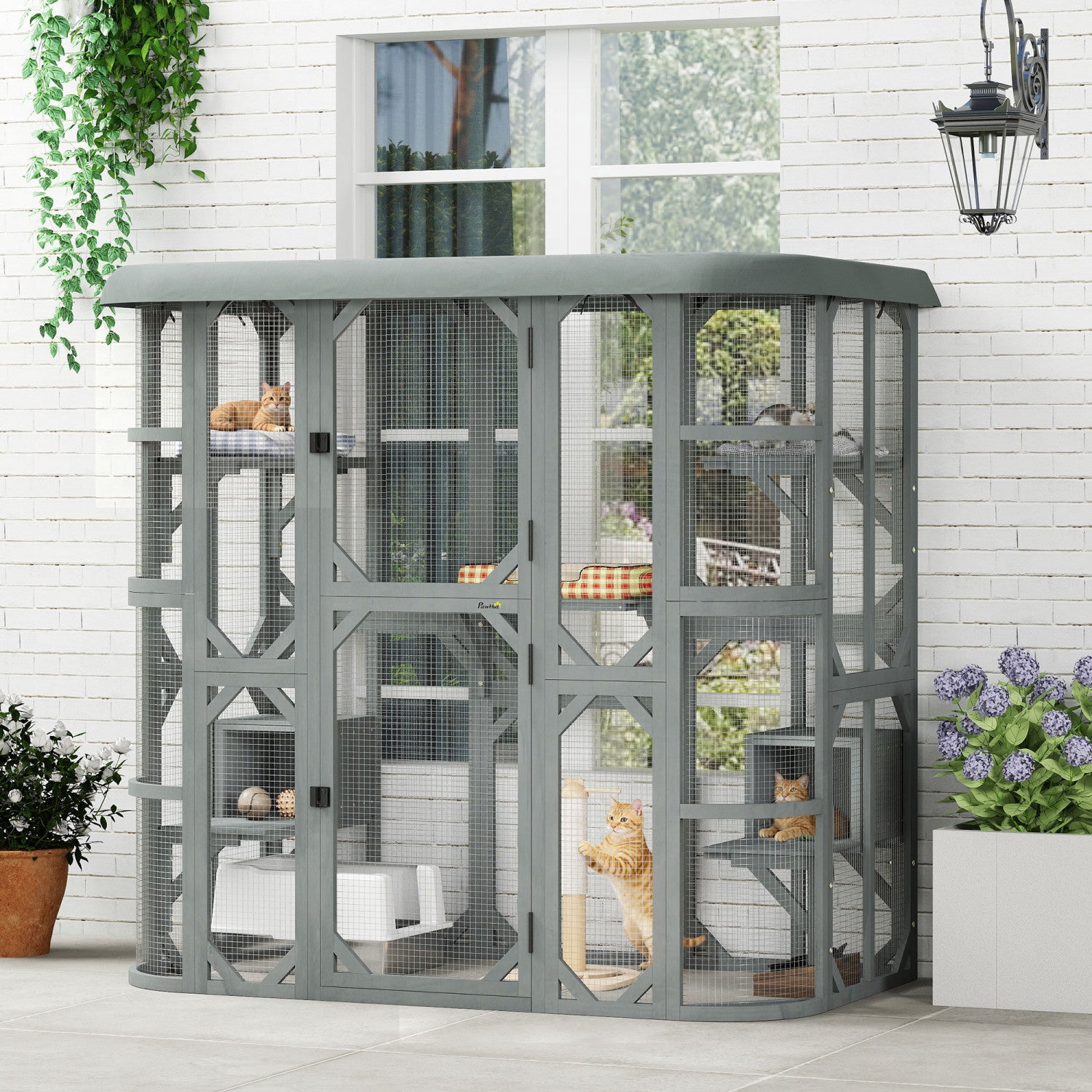 Sitemapcdatahttpsmodeinf Inetcomabri Exterieur Pour Chat Jardiland
