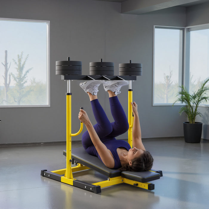 Soozier Machine Reglable d'Extension et de Flexion des Jambes