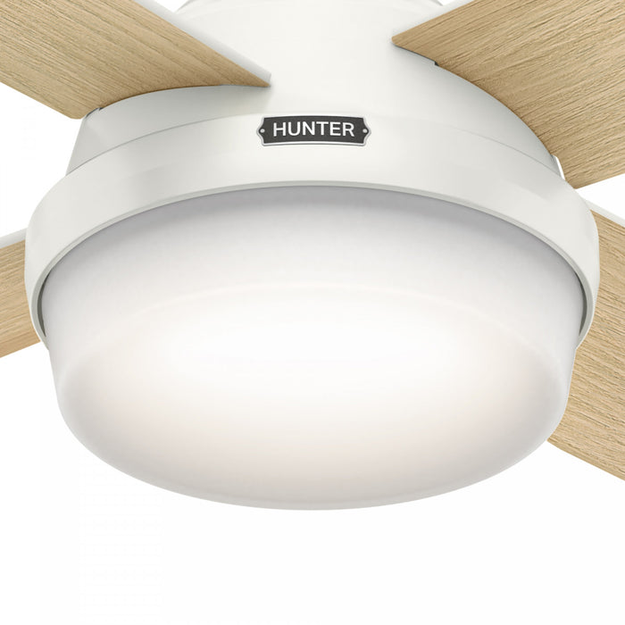 Ventilateur de plafond Dempsey avec luminaire - Blanc