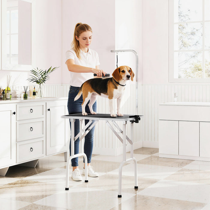 Table de Toilettage Pliable Robuste pour Animaux