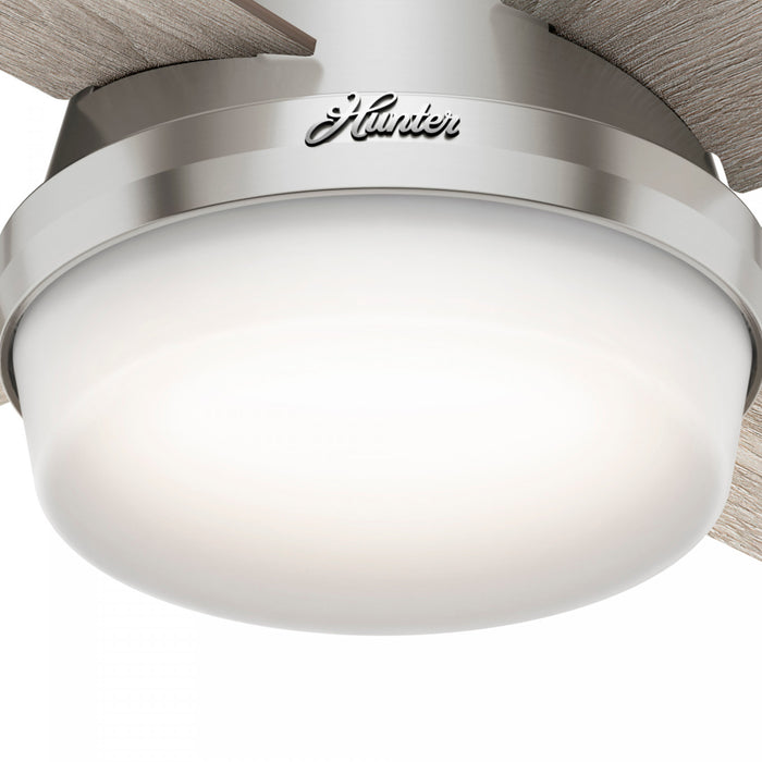 Ventilateur de plafond Dempsey à profil bas avec luminaire - Gris