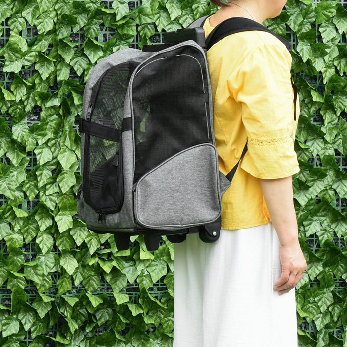 Sac de transport pour animaux Pawhut 4-in-1