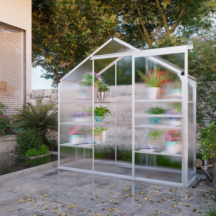 Outsunny Serre D'exterieur 6,3 Pi X 2,3 Pi X 6,1 Pi Avec Etageres A 3 Niveaux, Serre De Jardin En Polycarbonate Pour Plantes D'interieur, Cadre Froid Avec Cadre En Aluminium