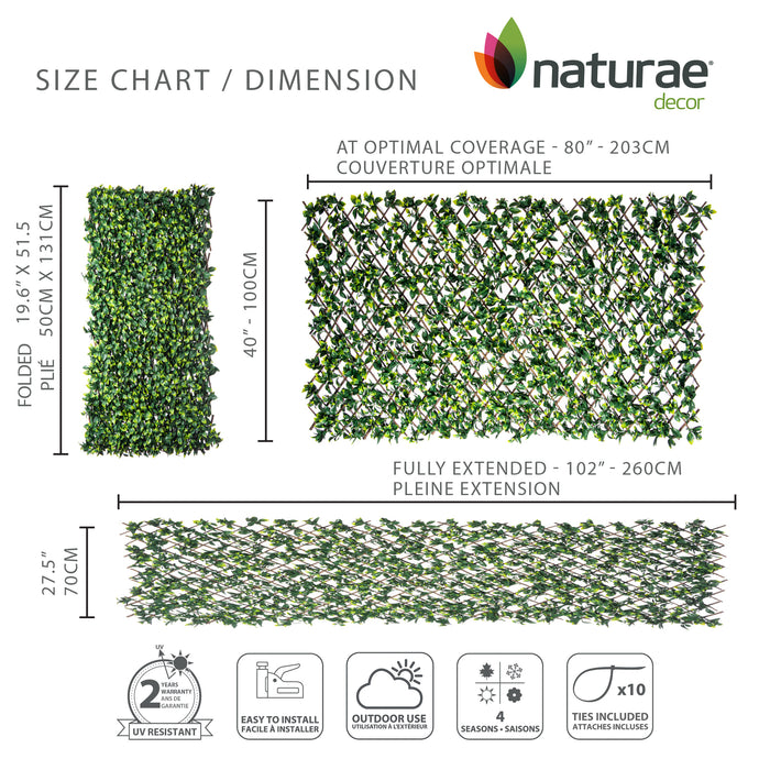 Treillis de saule extensible avec feuilles de gardénia - 40 po x 80 po