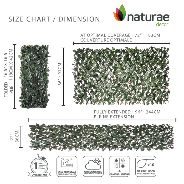 Treillis de saule extensible avec feuilles de lierre - 36 po x 72 po