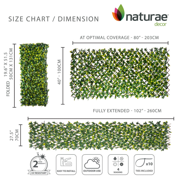 Treillis de saule extensible avec feuilles de laurier - 40 po x 80 po