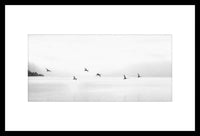 Photographie encadrée d’oiseaux survolant un lac - 30 po x 20 po