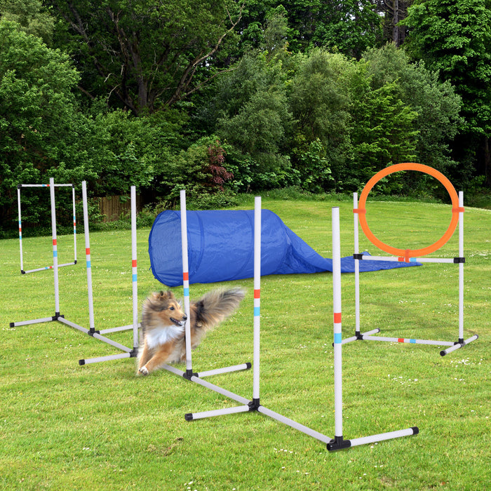 Ensemble d'entrainement d'agilite pour chien