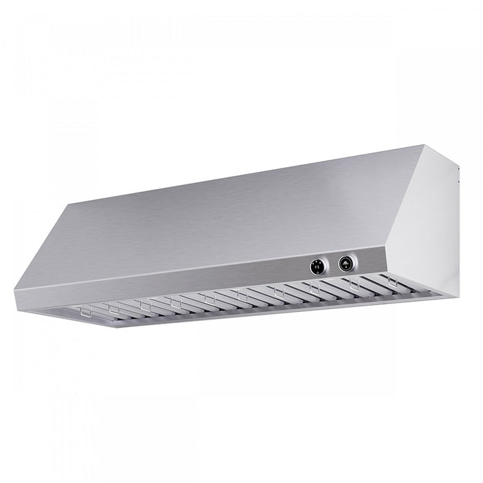 Hotte murale Biagio de 48 po en acier inoxydable - FRHWM5009-60