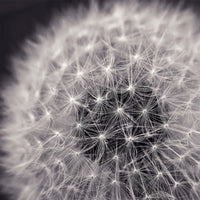 Œuvre d’art murale « Loop »