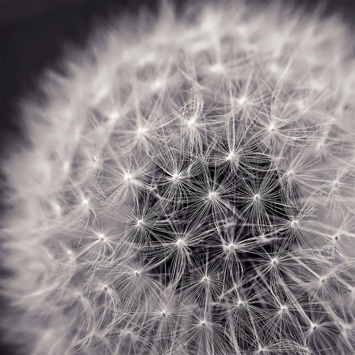 Œuvre d’art murale « Loop »