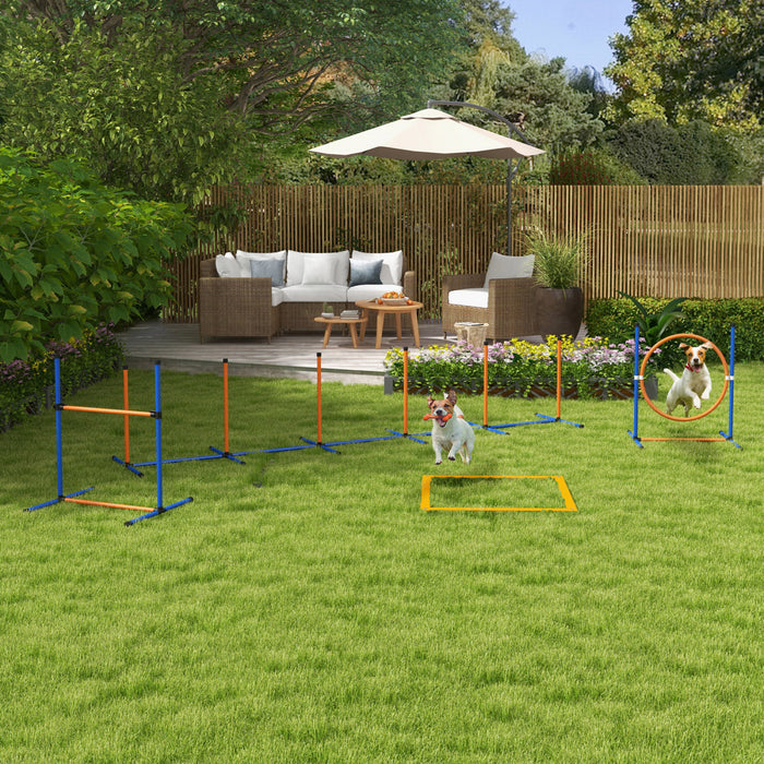 Equipement de dressage d'agilite pour chien avec sifflet
