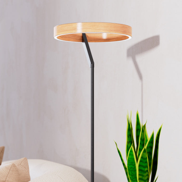 Lampe à pied moderne de 63 po noir mat à DEL
