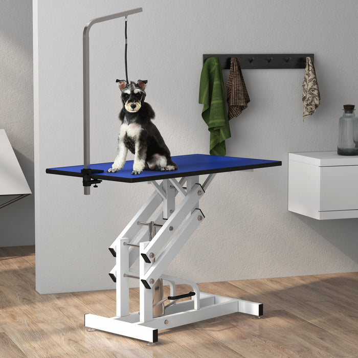 Pawhut Table De Toilettage Deluxe Professionelle Hydraulique Pour Chien Avec Bras Coulant, Bleu