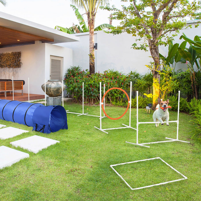 5PCs Equipement de formation d'agilite pour chien