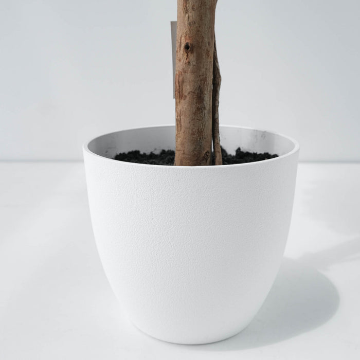 Arbre poinsettia blanc de 59 po