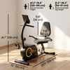 Soozier Recumbent Exercise Bike for Home, Indoor Stationary Bike for Seniors with Bluetooth, App Connectivity, 8-Level Magnetic Resistance, LCD Display, Pulse Sensors, Wheels
