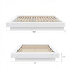 Marconi Platform Bed Frame Queen Bed | Lit Plateforme Marconi