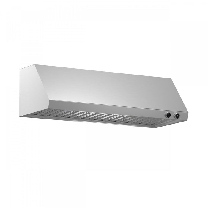Hotte murale Biagio de 48 po en acier inoxydable - FRHWM5009-60