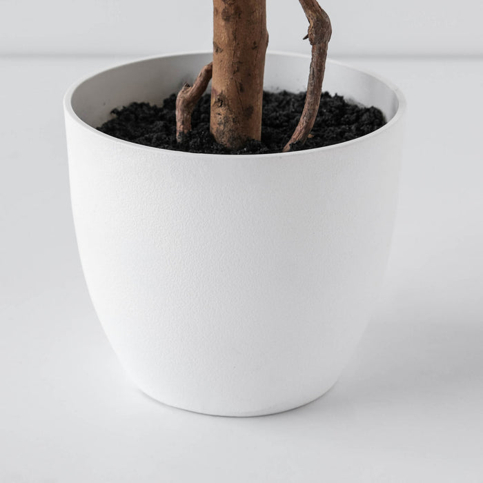 Arbre poinsettia rouge de 59 po