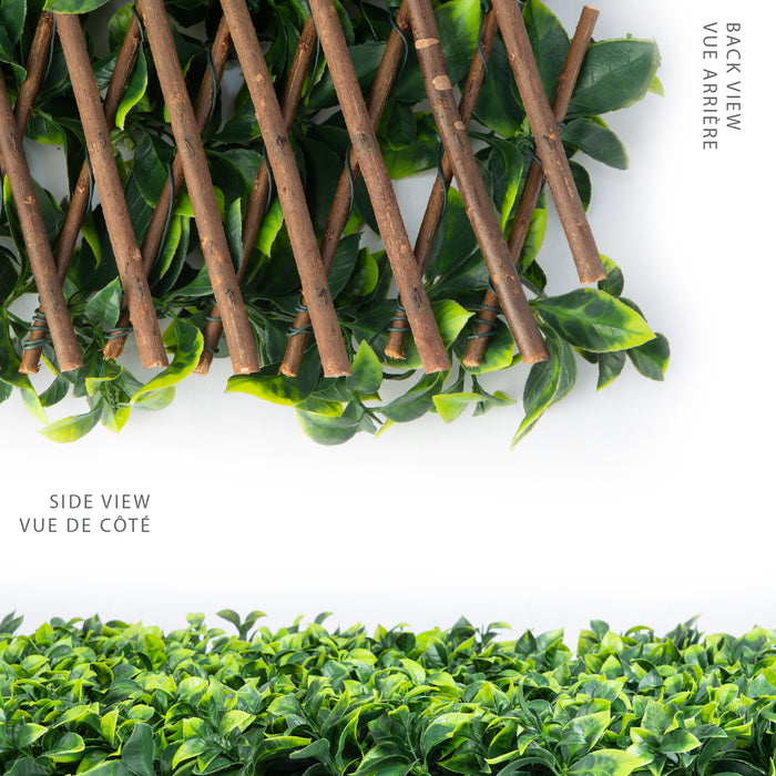 Treillis de saule extensible avec feuilles de gardénia - 40 po x 80 po