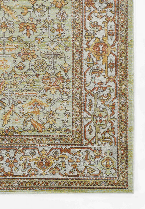Tapis Traditionnel Hailey 5'3\" x 7'3\" en Vert