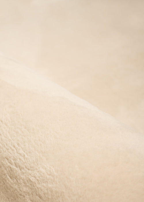 Tapis Lavable/Moelleux Argo 6'7\" x 9'0\" en Beige
