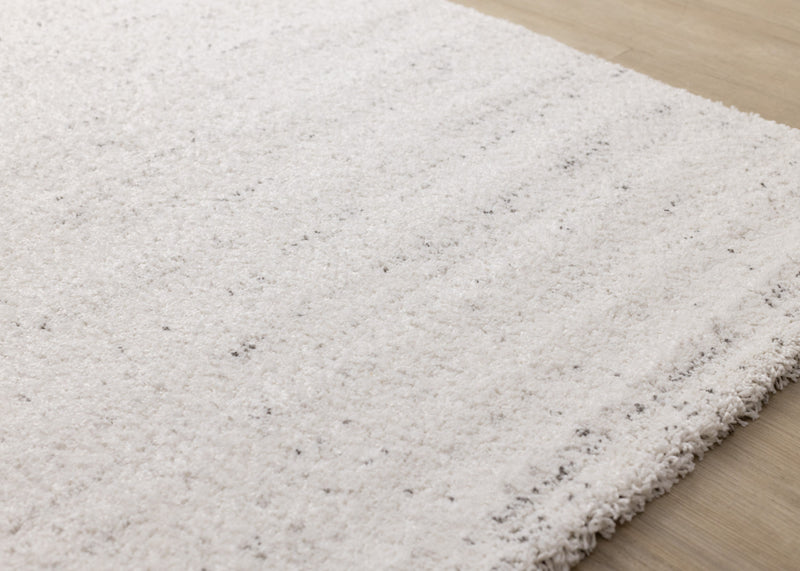 Tapis Surrey mouchete blanc gris, 5'3\" x 7'7\"