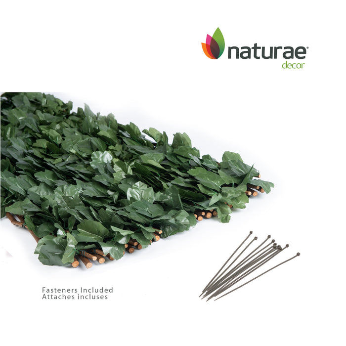 Treillis de saule extensible avec feuilles de lierre - 36 po x 72 po