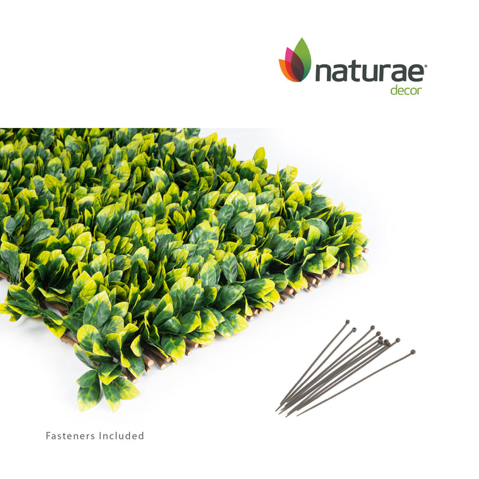 Treillis de saule extensible avec feuilles de laurier - 40 po x 80 po