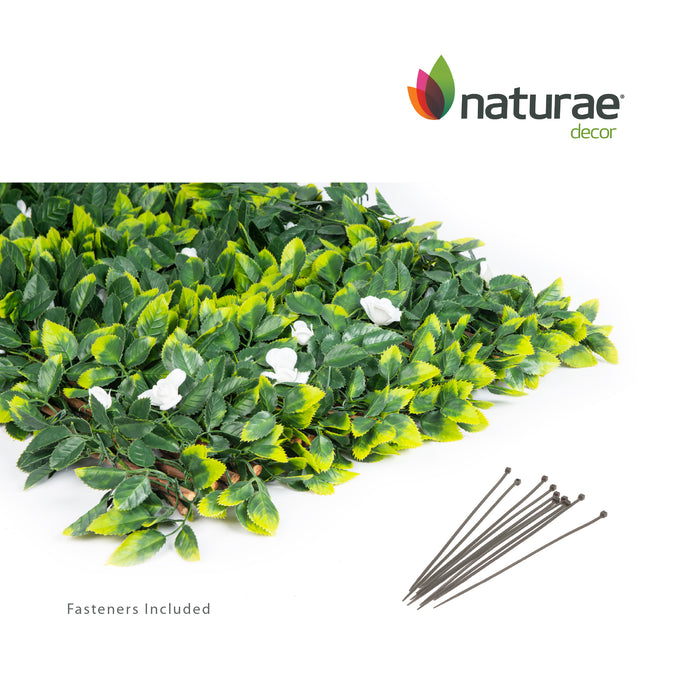Treillis de saule extensible avec feuilles de rose blanche - 40 po x 80 po