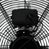 Ecohouzng 24" Heavy-Duty Utility Drum Fan Fan Large|Ecohouzng Ventilateur Tambour Utilitaire Robust de 24 pouces