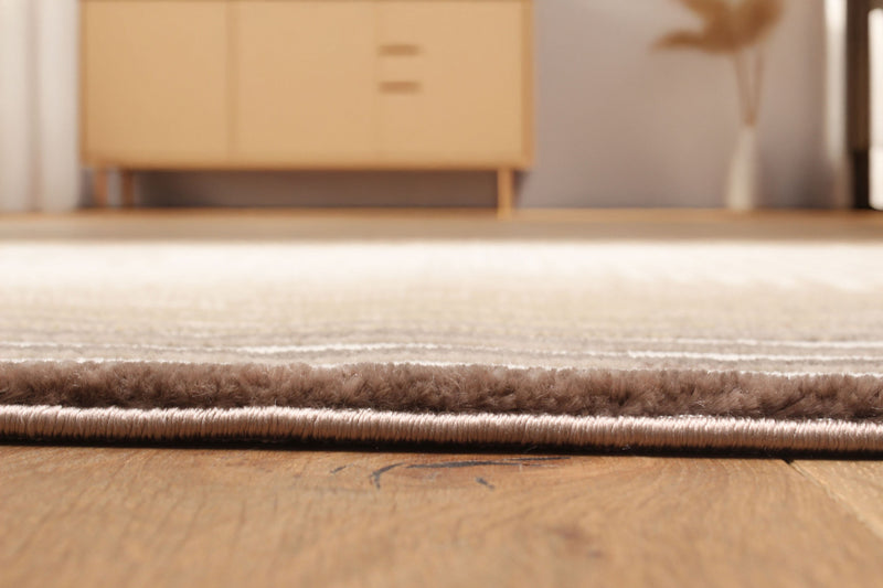 Tapis Contemporain/Moderne Ramona 5'0\" x 8'0\" en Brun clair