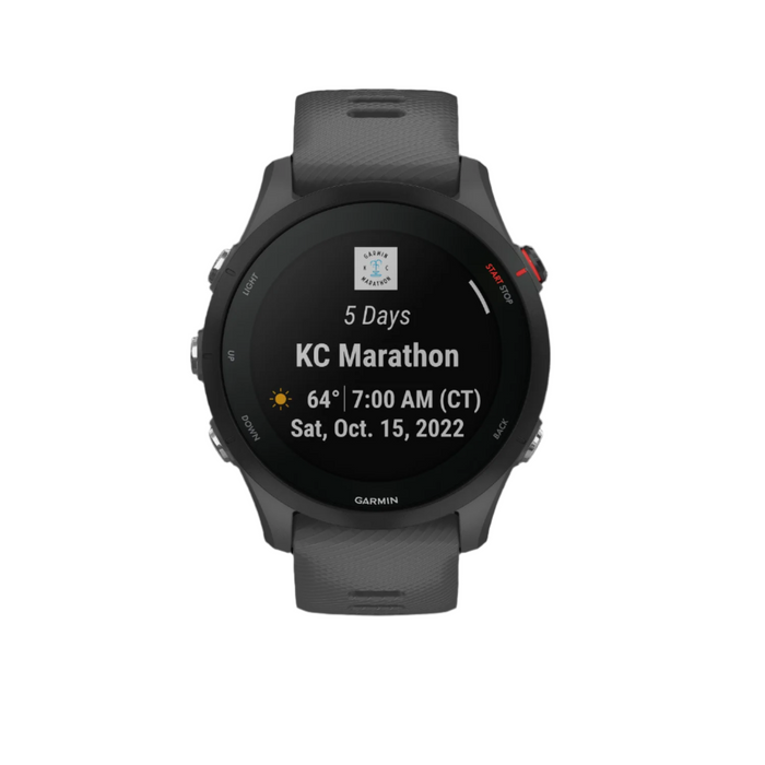 Montre Intelligente Gps Garmin Forerunner® 255 - Suivi De La Sante Quotidien Avec Une Autonomie De Batterie De 14 Jours - Gris Ardoise