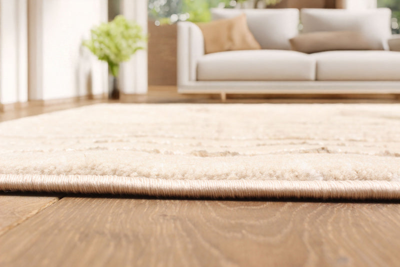 Tapis Contemporain/Moderne Blythe 5'0\" x 8'0\" en Beige
