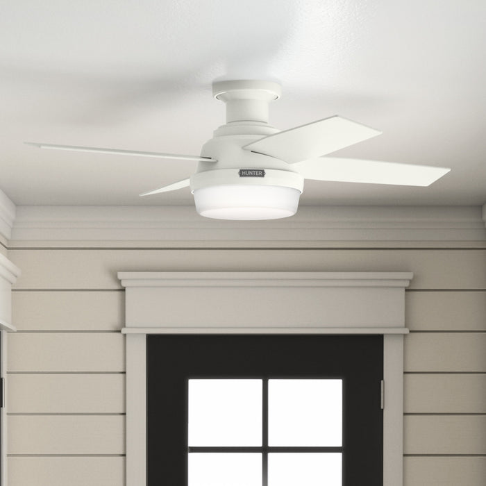Ventilateur de plafond Dempsey à profil bas avec luminaire - Blanc
