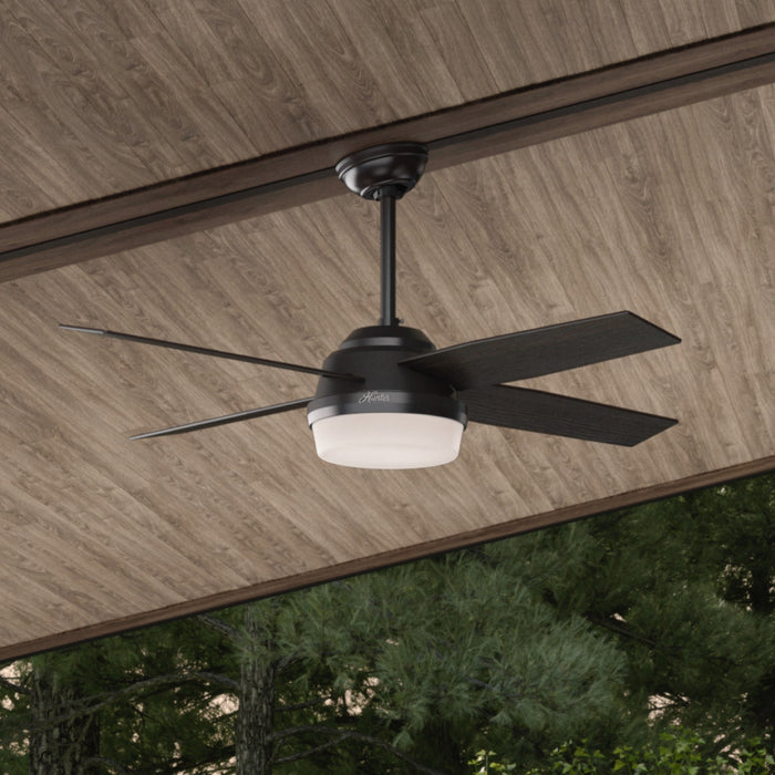 Ventilateur de plafond Dempsey avec luminaire - Noir