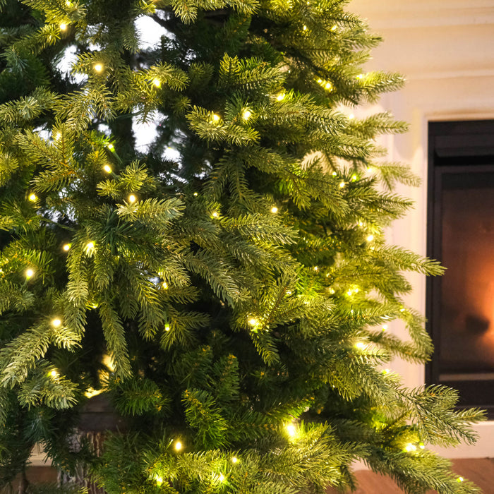 Abre de Noël sapin Frasier illuminé de 7 pieds
