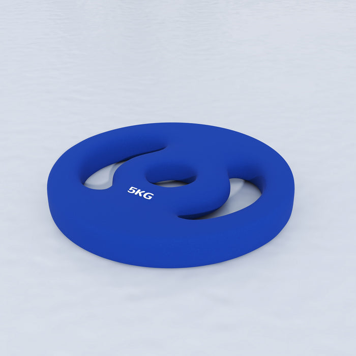 Soozier Plaques De Poids Standard Avec Poignees Faciles A Saisir, 2 X 11 Lb
