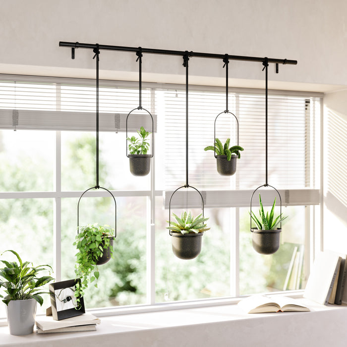Jardinière suspendue Triflora de Umbra noire - ensemble de 5