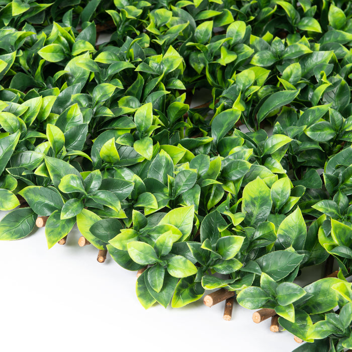 Treillis de saule extensible avec feuilles de gardénia - 40 po x 80 po