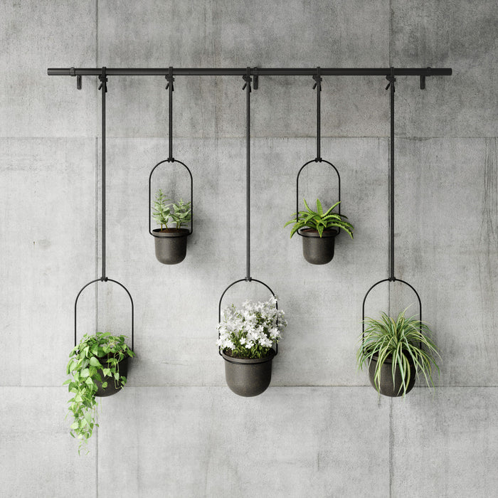 Jardinière suspendue Triflora de Umbra noire - ensemble de 5