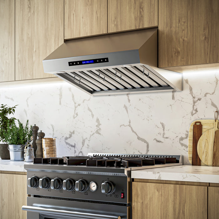 Hotte murale Palazzo de 30 po, acier inoxydable, filtres a chicanes-FRHWM5029-60