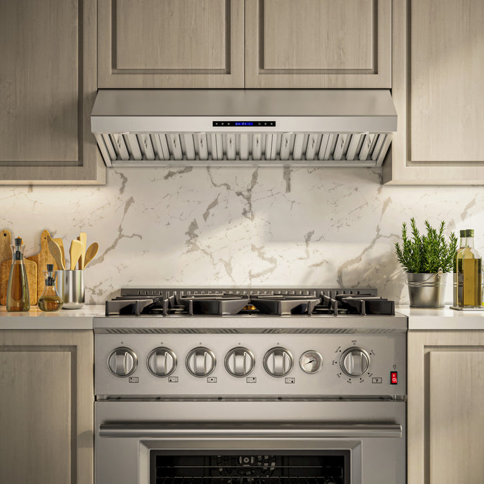 Hotte murale Palazzo de 48 po en acier inoxydable, filtres a chicanes robustes-FRHWM5030-60