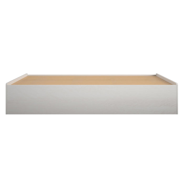 Lit simple plateforme Ameriwood Home avec tiroirs - chêne ivoire