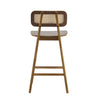 Bari Rubber Wood Counter Stool Set of 2 with Rattan Back and Footrest,Walnut | Bari lot de 2 tabourets de comptoir en bois de caoutchouc avec dossier en rotin et repose-pieds, couleur noyer